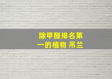 除甲醛排名第一的植物 吊兰